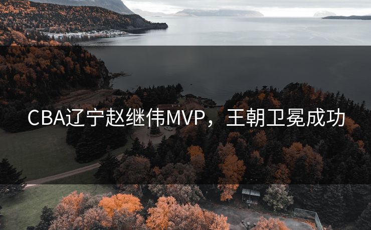 CBA辽宁赵继伟MVP，王朝卫冕成功